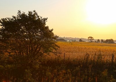 Remember the 4Rs of Nutrient Stewardship