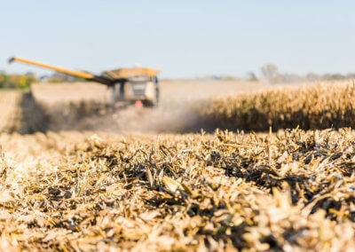 Planting Progress in SE Iowa