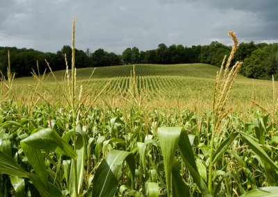 Join us at the 66th Annual Farm Progress Show!