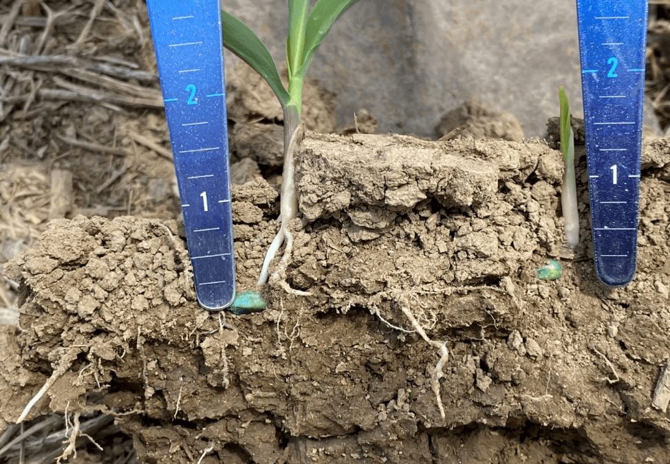 SureForce™ VS. Springs in No-Till and Conventional Till